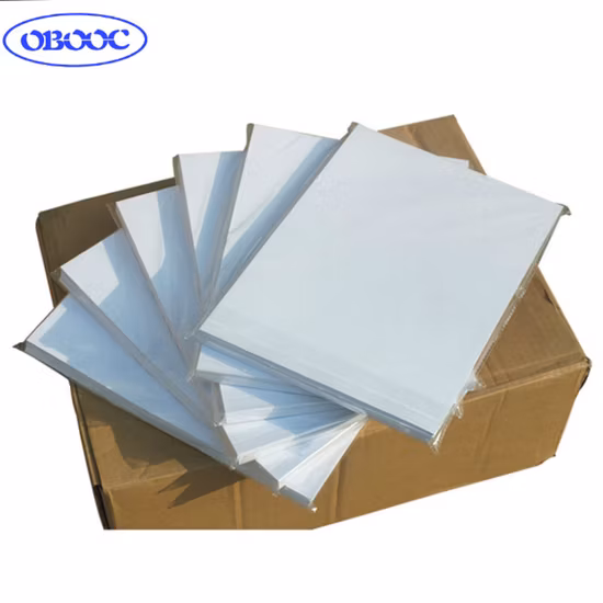 4 Color Mug T Shirt A3+ L1300 Inkjet Dye Sublimation Transfer Printer